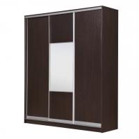 Шкаф-купе РЭЙГРУПП Elgona РГ-01.05 ДКД (233/240/45) (Венге/Венге)