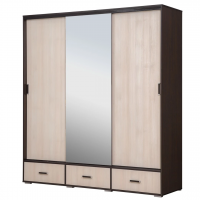 Шкаф-купе РЭЙГРУПП Elzas EL-01.02 (199/220/60) (Венге/Дуб шамони)