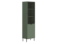 Шкаф BRW Paloma REG1W1D (Черный/Дымчатый зеленый)