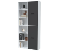 Шкаф Интерлиния Skill-20 (2) (Белый/Антрацит)