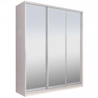 Шкаф-купе РЭЙГРУПП Elgona РГ-02.04 ЗЗЗ (203/240/45) (Ясень снежный/Ясень снежный)