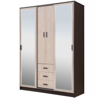 Шкаф-купе РЭЙГРУПП Elzas EL-01.01 (160/220/60) (Венге/Дуб шамони)