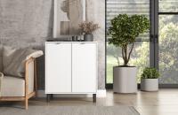 Тумба ЭЛИГАРД MONE 2D (Белый)