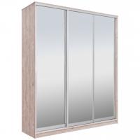 Шкаф-купе РЭЙГРУПП Elgona РГ-01.04 ЗЗЗ (233/240/60) (Сосна натуральная/Сосна натуральная)