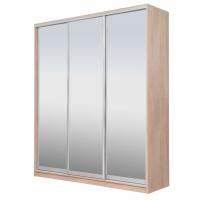 Шкаф-купе РЭЙГРУПП Elgona РГ-08.04 ЗЗЗ (203/220/45) (Дуб торонто/Дуб торонто)