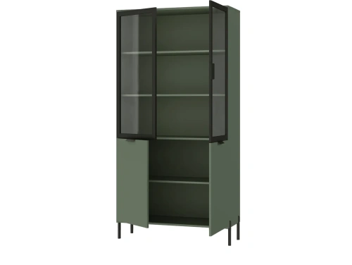 Шкаф BRW Paloma REG2W2D (Черный/Дымчатый зеленый)