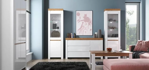 Шкаф anrex TAURUS с витриной 1V1D