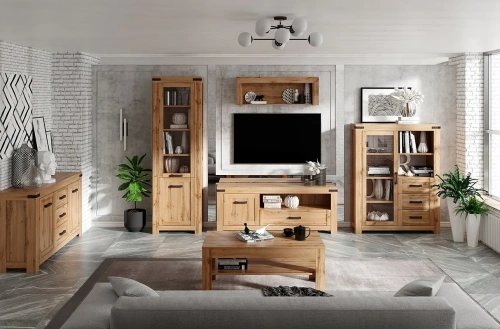 Тумба anrex MORTIZ RTV 1D1SN (Дуб вотан)