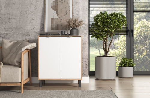 Тумба ЭЛИГАРД MONE 2D (Дуб Вотан/Белый)