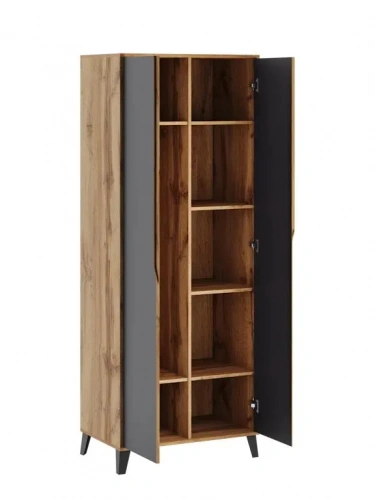 Шкаф ЭлиГард Eyva 2D (Дуб вотан/Графит)