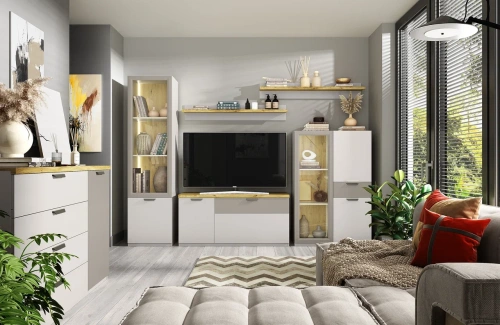 Шкаф anrex MODERN 2D/52