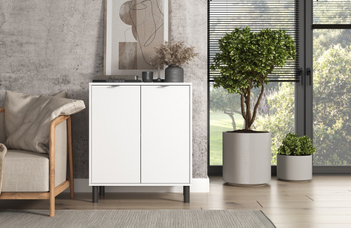 Тумба ЭЛИГАРД MONE 2D (Белый)