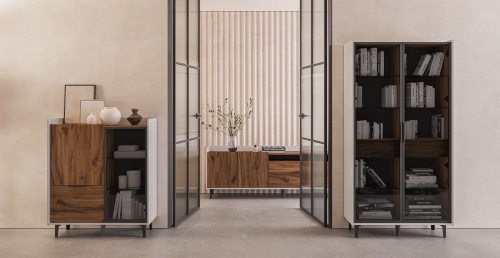 Шкаф комбинированный Мебель-Неман Модена Элисон МН-048-24-ЦЗ