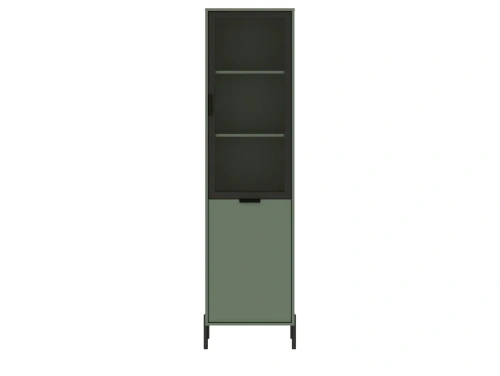 Шкаф BRW Paloma REG1W1D (Черный/Дымчатый зеленый)