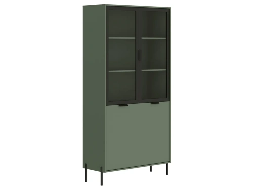 Шкаф BRW Paloma REG2W2D (Черный/Дымчатый зеленый)