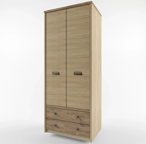 Шкаф anrex DIESEL 2DG2S/D1