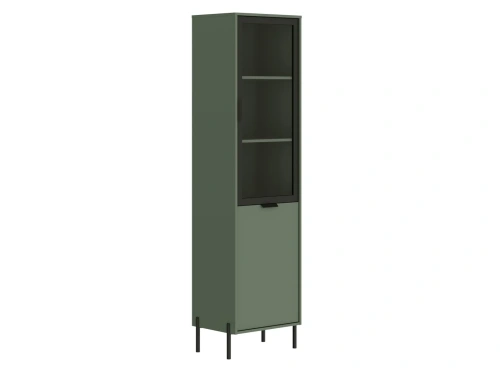 Шкаф BRW Paloma REG1W1D (Черный/Дымчатый зеленый)