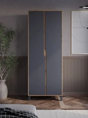 Шкаф ЭлиГард Eyva 2D (Дуб вотан/Графит)